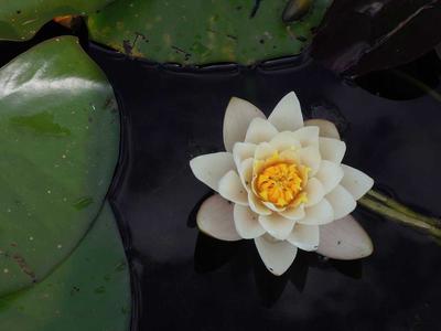 游戏充值